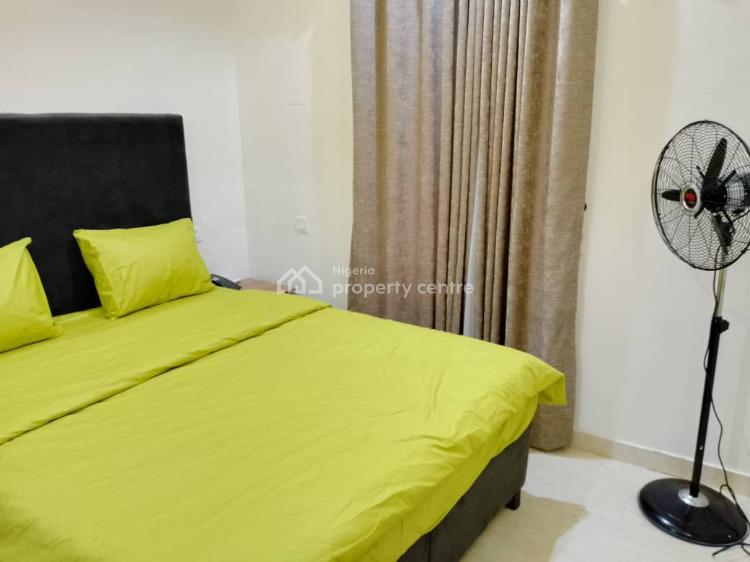 Luxury 2 Bedroom Apartment, Surulere, Lagos, Flat / Apartment Short Let