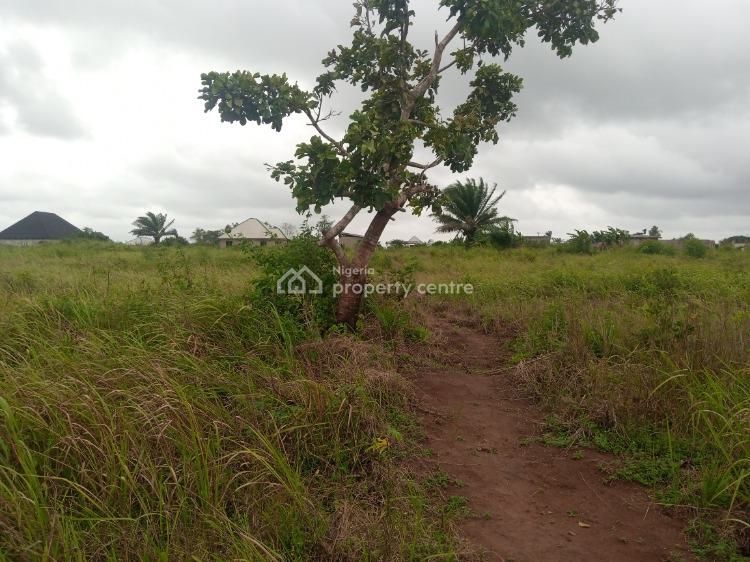 For Sale Residential / Commercial Land, Along Javie Road, Age Mowo, Badagry, Lagos (Ref 1439560)