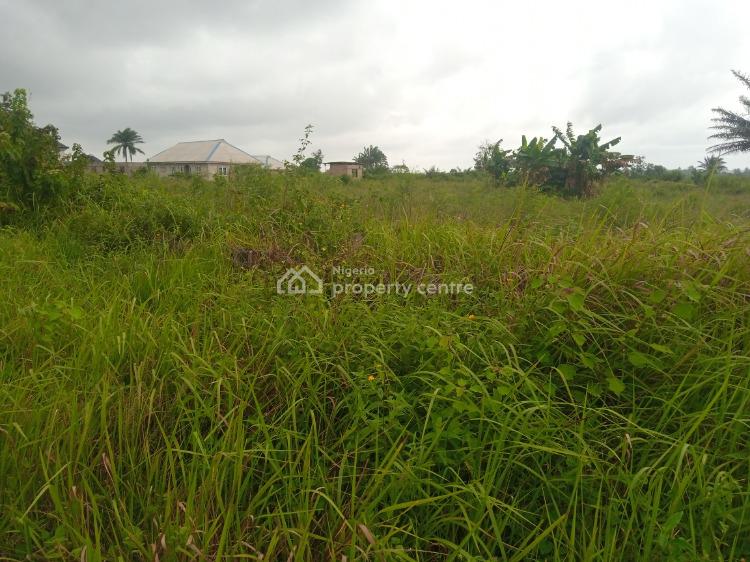 For Sale Residential / Commercial Land, Along Javie Road, Age Mowo, Badagry, Lagos (Ref 1439560)