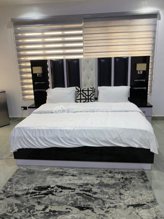 Furnished Luxury 2 Bedrooms Luxury Flat, Banana Island Road, Onikoyi, Ikoyi, Lagos, Flat / Apartment Short Let