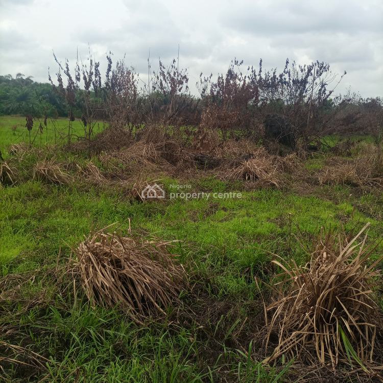 For Sale Plots Of Land, Empire Estate,, Akodo Ise, Ibeju Lekki, Lagos