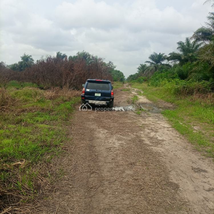 For Sale Plots Of Land, Empire Estate,, Akodo Ise, Ibeju Lekki, Lagos