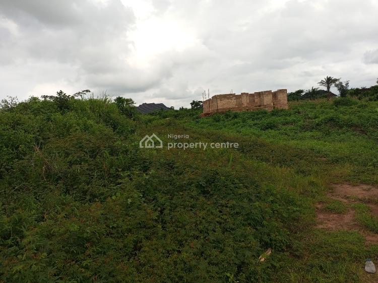 50 By 100, Ofunmwegbe Community Iriri Airport Road Gra Benin, Benin, Oredo, Edo, Mixed-use Land for Sale