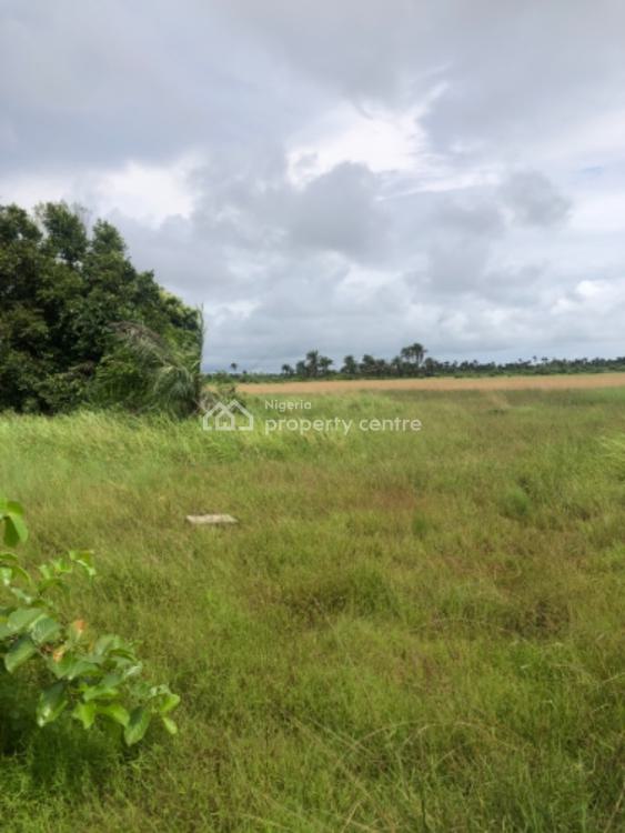 For Sale Very Dry Land, Lekki Free Trade Zone, Ark Gardens Estate