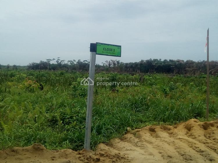 For Sale Land With C Of O In View Why You Need To Invest, Highbridge
