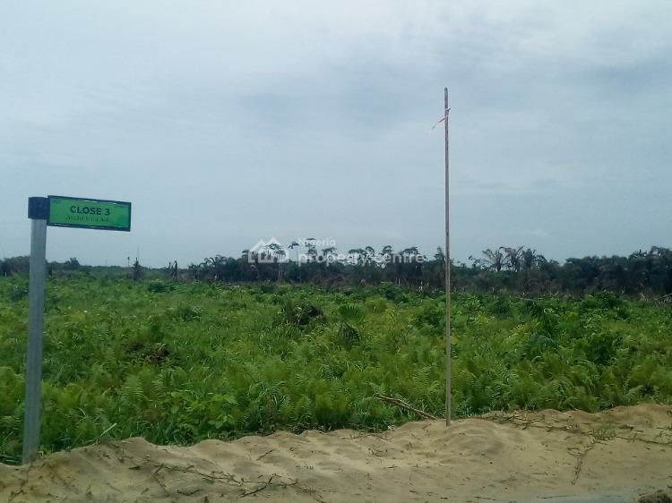 For Sale Land With C Of O In View Why You Need To Invest, Highbridge