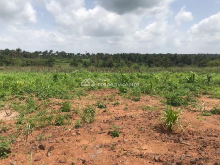 Land, White House Estate, Moniya, Ibadan, Oyo, Residential Land for Sale