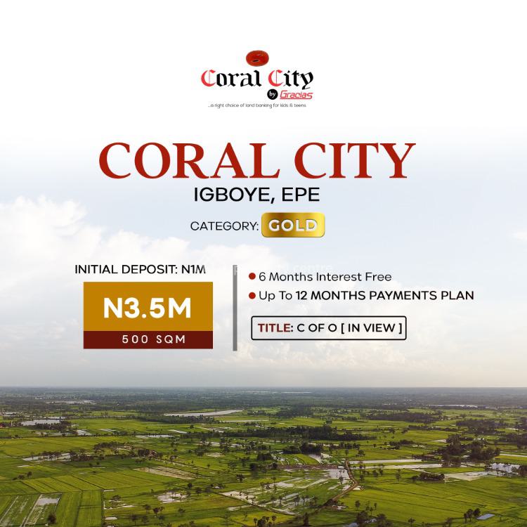 For Sale Land With C Of O In View, Coral City Estate, Along Ketu Omu