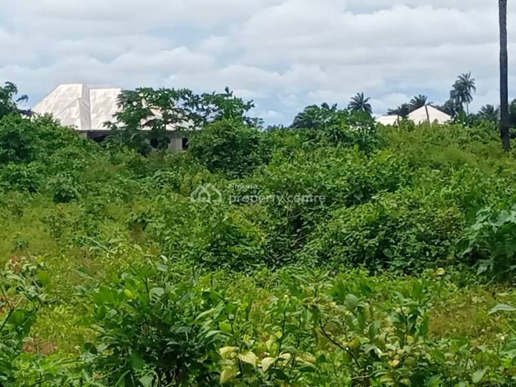 For Sale Residential Land In A Mini Estate, Ada By Okilton