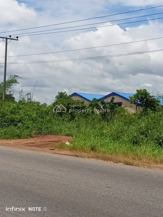 For Sale Undeveloped Land (100 X 50), Asaba, Delta Nigeria Property