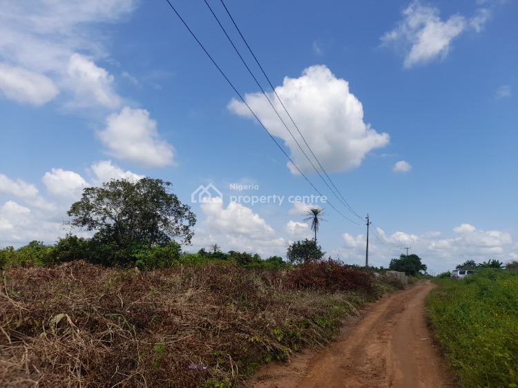 For Sale Beautiful Affordable Land In A Serene Environment, Lush 4