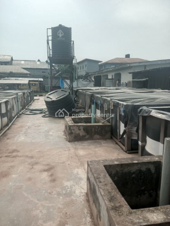 Mini Flat on One Half Plot of Land Inside an Estate, Peace Estate Aboru, Iyana Ipaja, Ipaja, Lagos, Detached Bungalow for Sale