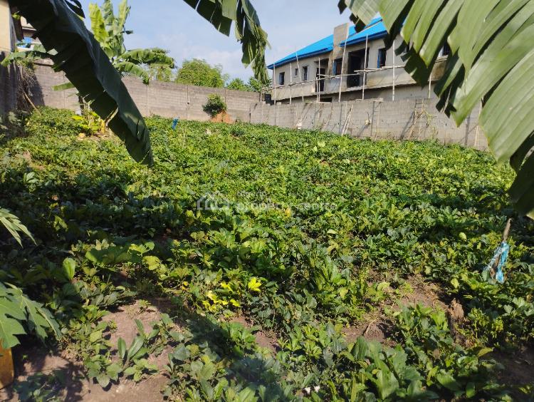 For Sale A Full Plot Of Land, Fenced And Gated, Behind Technical