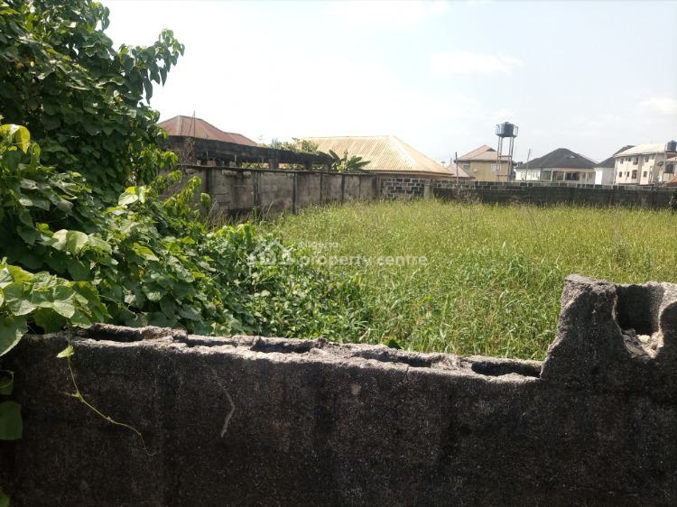 For Sale Well Located And Table Flat Land, Chinda, Off Ada