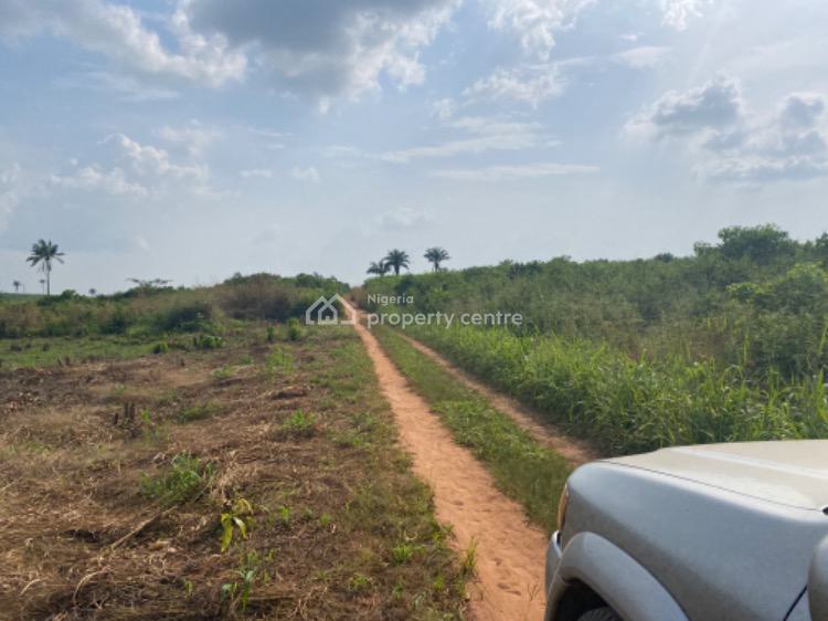 For Sale Best Land Deal Suitable For Land Banking, Imagbon, Epe, Lagos