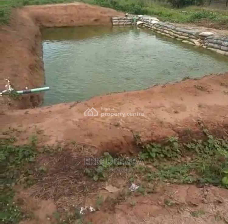 For Sale Large Scale Commercial Fish Farm, Igbesan, Agbara, AdoOdo