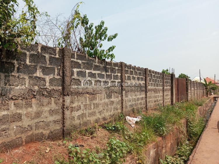 For Sale 2 Acres Of Land, Off Mariam Babangida, Asaba, Delta Nigeria