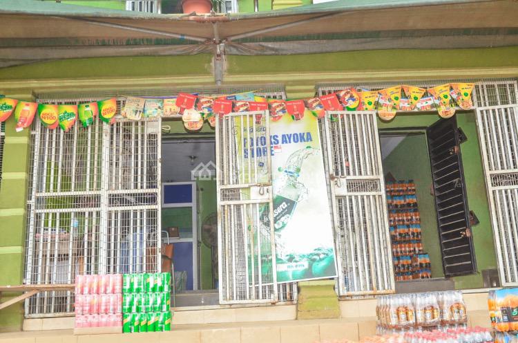 Recycling ,paint Factory , Block of Shops, Ilo Awela Road, Sango Ota, Ogun, Factory for Sale