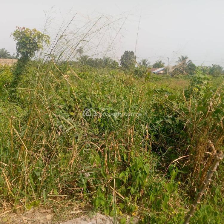 Grab This Virgin Land  with a Small Amount, Atiku Road, Uyo, Akwa Ibom, Residential Land for Sale