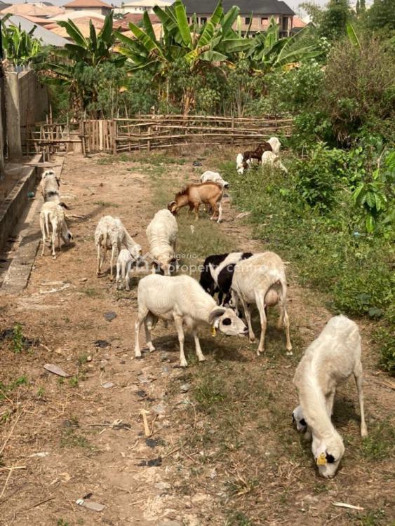 For Sale Farm House In 1500sqm, Alafia Street, Ibadan, Oyo Nigeria