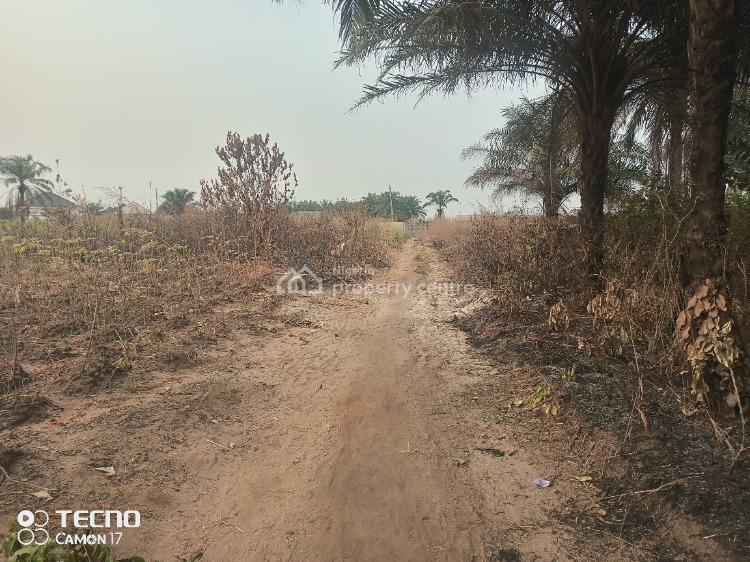 Corner Piece 2 Plots of Land  with 3 Access Roads, Avu Obokwu, Owerri Municipal, Imo, Residential Land for Sale