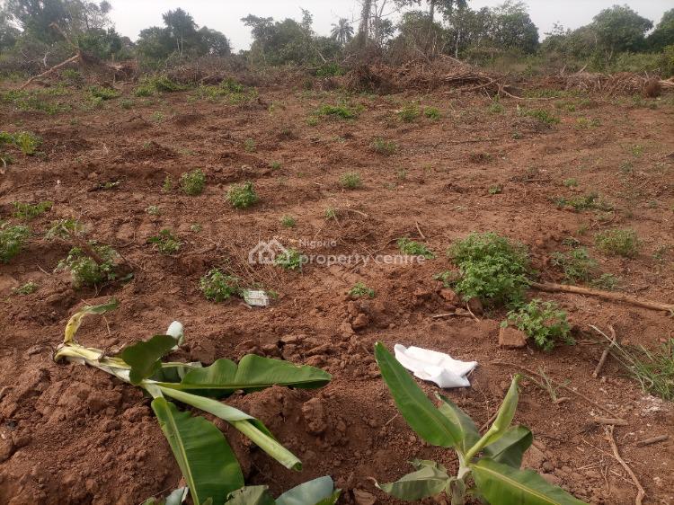 For Sale Residential Land In Good Location, Stamford City Homes, Imota
