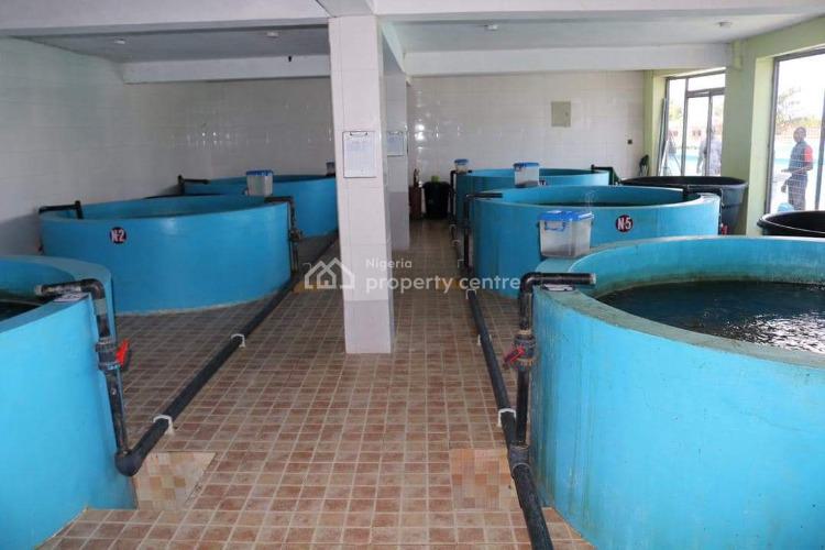 Aquaculture Farm, Pig Farm & Water Production Factory, Ibeju Lekki, Lagos, Factory for Sale