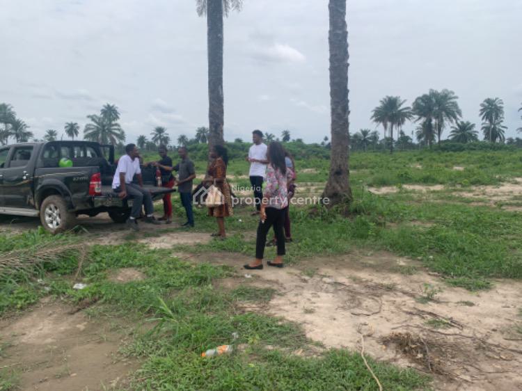 Land, Boing Mega City Estate, Iguruta School Road, Port Harcourt, Rivers, Mixed-use Land for Sale