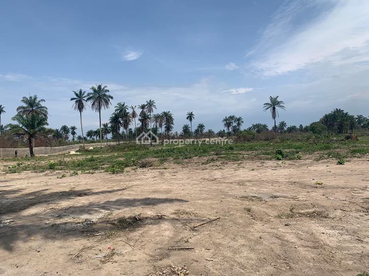 Land, Boing Mega City Estate, Iguruta School Road, Port Harcourt, Rivers, Mixed-use Land for Sale