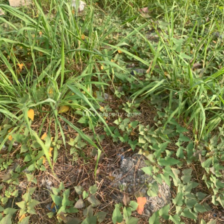 For Sale 613sqm Land, Victoria Island (VI), Lagos Nigeria Property