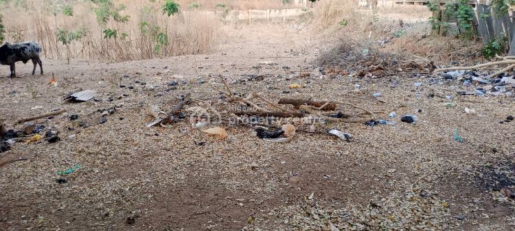 4900sqm Commercial Plot with C of O, By Nnpc Tower Road, Central Business District, Abuja, Commercial Land for Sale