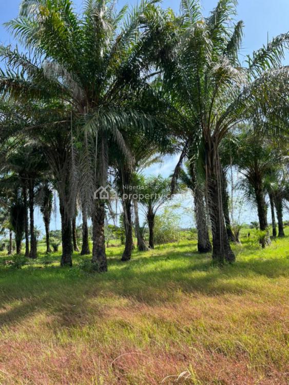 For Sale Land, Terra Gardens Estate, Ode Omi, Ibeju Lekki, Lagos