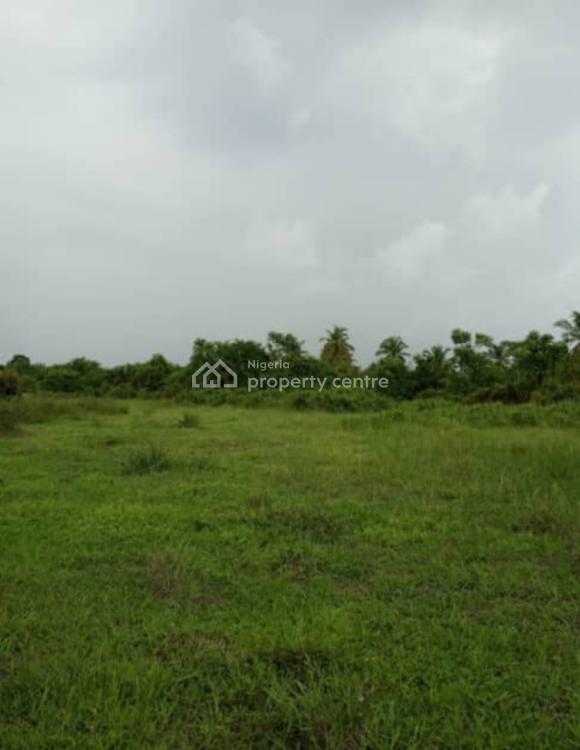 2000 Hectres  Waterfront Dry Land, Badagry, Lagos, Land for Sale
