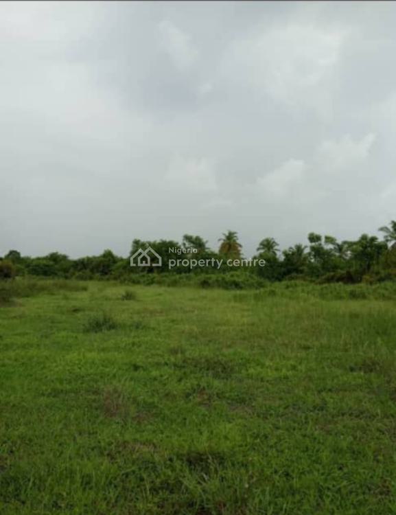 2000 Hectres  Waterfront Dry Land, Badagry, Lagos, Land for Sale