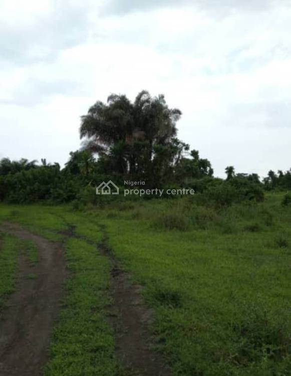 2000 Hectres  Waterfront Dry Land, Badagry, Lagos, Land for Sale