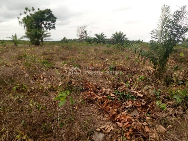 For Sale Plots Of Govt Approved Land In Good Location, Kingsville