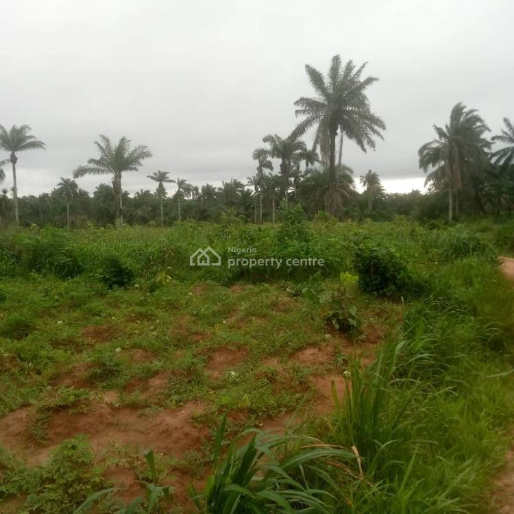 For Sale Plots Of Govt Approved Land In Good Location, Kingsville