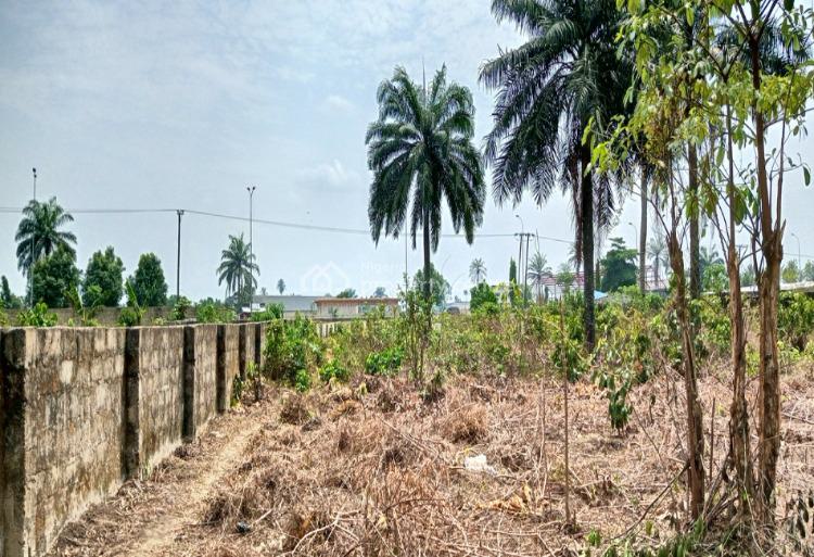 For Sale 100 Plots Of Land In A Good Location, Rukpokwu Aluu Road