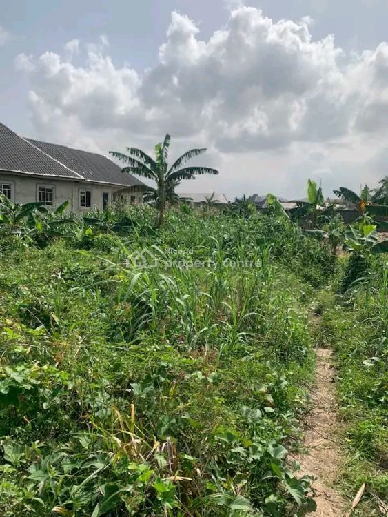 For Sale Well Located Two (2) Plots Of Residential Land., Elioparawon