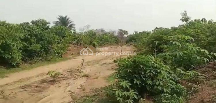 About 100 Plots of Land Newly Parcellated, Oforolla, Close to Umuokane Road, Owerri Municipal, Imo, Mixed-use Land for Sale