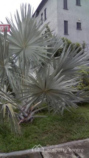 Luxury 3 Bedroom Apartment with Swimming Pool, Rasaki Balogun Street, Atlantic View Estate, Alpha Beach, Chevron, Agungi, Lekki, Lagos, Flat / Apartment Short Let