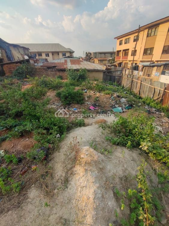 For Sale Plots Of Land With Owner Receipt And Register Survey, Egbeda