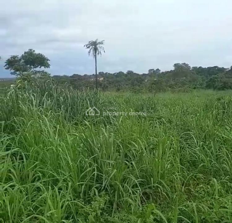 For Sale Four Plots Of Land, Afara, Umuahia, Abia Nigeria Property