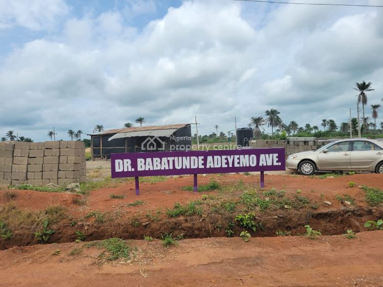 For Sale Plot Of Land In A Secured Estate, Pelican Valley/ Kobape