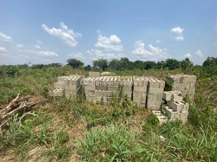 For Sale Mixeduse Land, *plainville 2* Iloti Epe Ijebu Ode, Ijebu Ode