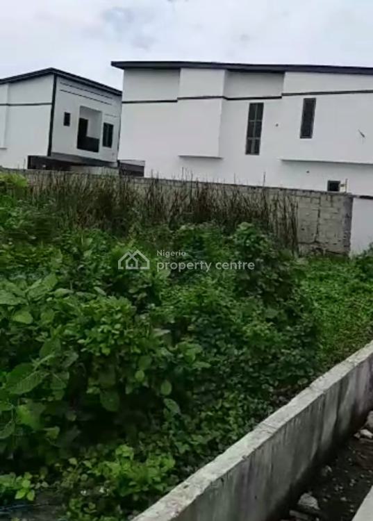 1317sqm Bareland, Lekki County, Ikota, Lekki, Lagos, Mixed-use Land for Sale