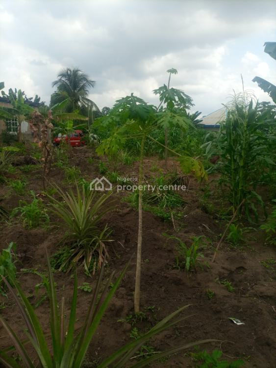 Massive Land with High Traffic, Oron Road and Udo Udoma Intersection, Uyo, Akwa Ibom, Mixed-use Land for Sale