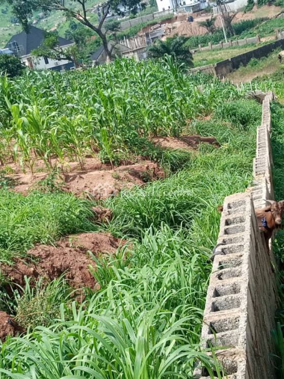 Buy Now! Residential Plot of Land with R of O, Honorable Ishaya Dangana Street, Dawaki Extension, Dawaki, Gwarinpa, Abuja, Residential Land for Sale