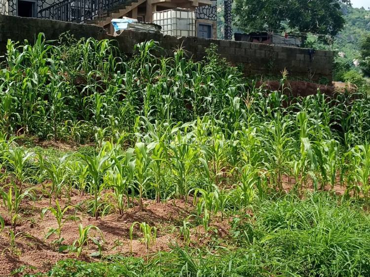 Buy Now! Residential Plot of Land with R of O, Honorable Ishaya Dangana Street, Dawaki Extension, Dawaki, Gwarinpa, Abuja, Residential Land for Sale