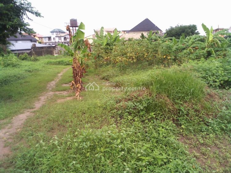 For Sale Two Plots Of Land, Lagoon View Estate, Ikorodu, Lagos